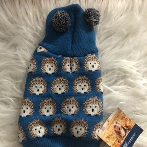 humane society dog sweater